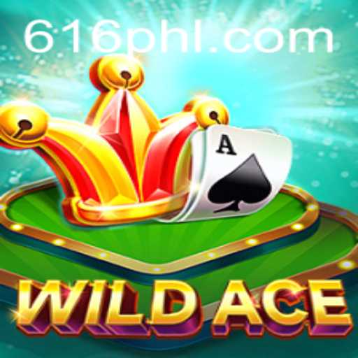 Discover WildAce: The Thrilling Card Game with a Strategic Twist